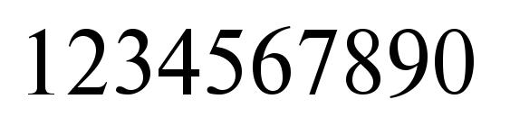 Tensec regular Font, Number Fonts