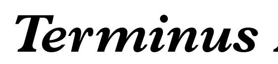 Шрифт Terminus Black SSi Bold Italic