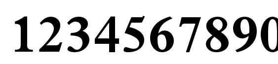 Terminus Black SSi Bold Font, Number Fonts