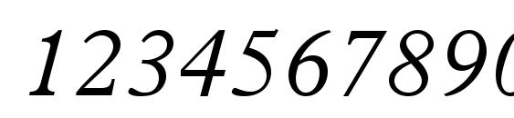 Terminus Light SSi Light Italic Font, Number Fonts