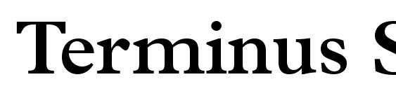 шрифт Terminus SSi Semi Bold, бесплатный шрифт Terminus SSi Semi Bold, предварительный просмотр шрифта Terminus SSi Semi Bold