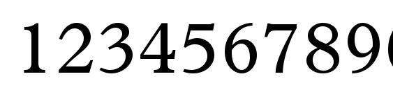 Terminus SSi Font, Number Fonts