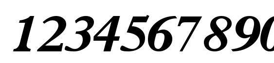 Terminusblackssk italic Font, Number Fonts