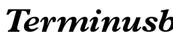 Шрифт Terminusblackssk italic