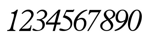 Terminuslightssk italic Font, Number Fonts
