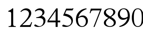 Terminuslightssk Font, Number Fonts