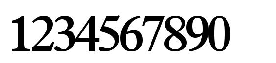 Terminusssk bold Font, Number Fonts