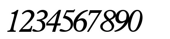 Terminusssk italic Font, Number Fonts