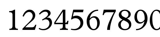 Terminusssk regular Font, Number Fonts