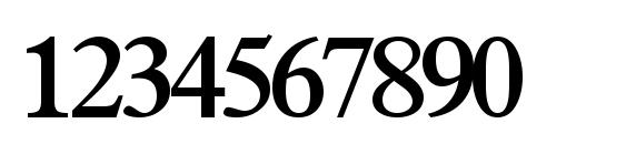 Terminusssk semibold Font, Number Fonts