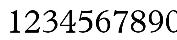Terminusssk Font, Number Fonts