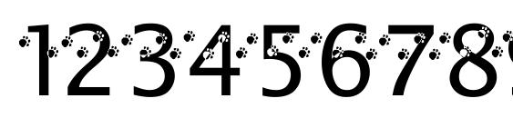 That darn cat! Font, Number Fonts