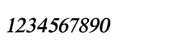 The Last Font Im Wasting On You Italic Font, Number Fonts