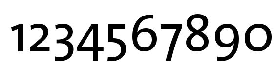 TheSans Plain Font, Number Fonts