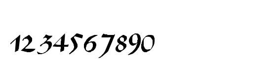 TIDANN Regular Font, Number Fonts