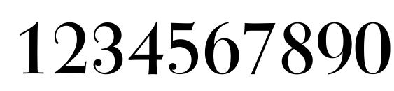 Tiemann Roman Font, Number Fonts