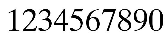 Tiempo Font, Number Fonts