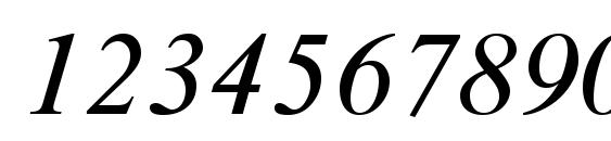 Time Roman Italic Font, Number Fonts