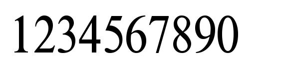 Time Roman85n Font, Number Fonts