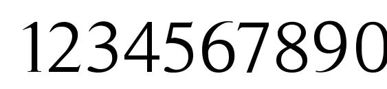 Timeless Normal Font, Number Fonts