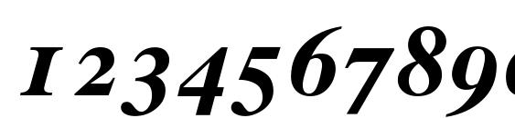 Times 10 Bold Italic Oldstyle Figures Font, Number Fonts