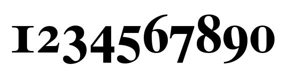 Times 10 Bold Oldstyle Figures Font, Number Fonts