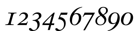 Times 10 Italic Oldstyle Figures Font, Number Fonts