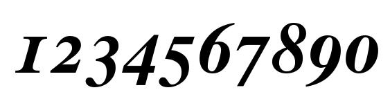 Times Bold Italic Old Style Figures Font, Number Fonts