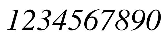 Times CE Italic Font, Number Fonts