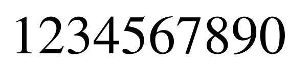 Times CE Regular Font, Number Fonts