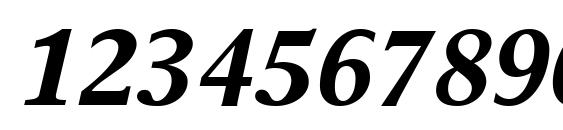 Times Europa LT Bold Italic Font, Number Fonts