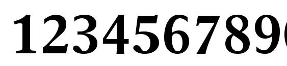 Times Europa LT Bold Font, Number Fonts