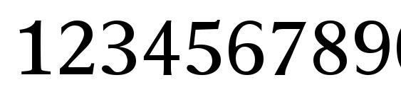 Times Europa LT Roman Font, Number Fonts