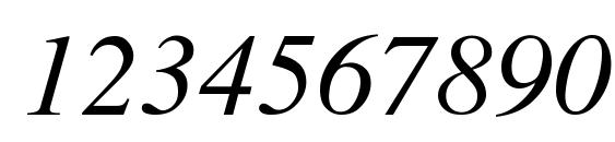 Times Italic Font, Number Fonts