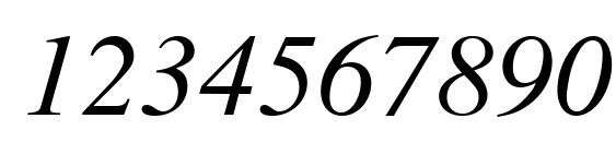 Times LT Italic Font, Number Fonts