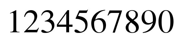 Times LT Roman Font, Number Fonts