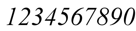 Times New Roman CE Italic Font, Number Fonts
