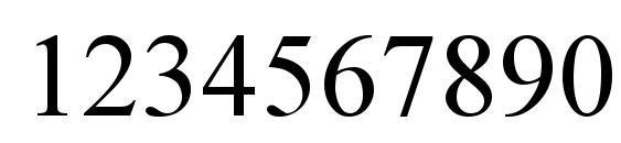 Times New Roman CE Font, Number Fonts