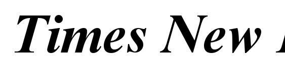 Times New Roman Cyr Bold Italic Font