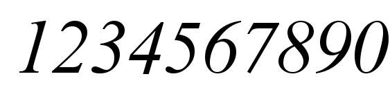 Times New Roman Cyr Italic Font, Number Fonts