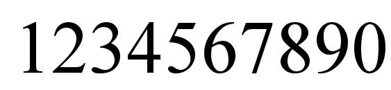 Times New Roman KOI8 Font, Number Fonts