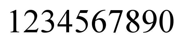 Times New Roman Font, Number Fonts