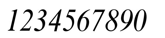 Times NR Condensed Italic Font, Number Fonts