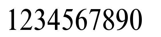 Times NR Condensed Font, Number Fonts