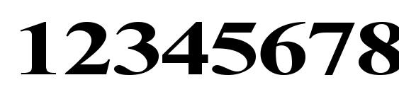 Times NR Cyr MT 130b Font, Number Fonts