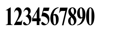 Times NR Cyr MT Bold70b Font, Number Fonts