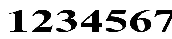 Times Roman Ex Bold Font, Number Fonts