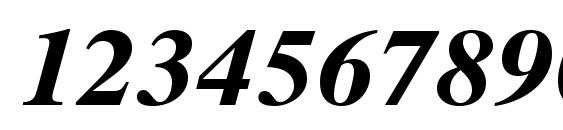 Times Ten CE Bold Italic Font, Number Fonts