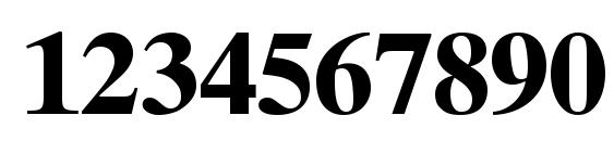 Times Ten CE Bold Font, Number Fonts