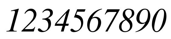 Times Ten Cyrillic Inclined Font, Number Fonts